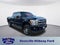 2014 Ford F-250SD Platinum
