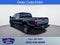 2014 Ford F-250SD Platinum