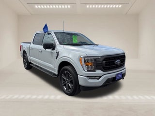 2023 Ford F-150 XLT Sport Appearance Package